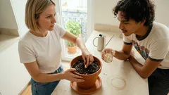 Planto alho em vaso e não falha: o método simples para ter folhas e, mais tarde, bolbos