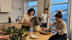 Como cuidar da begónia da Amazónia em casa e mantê-la sempre exuberante