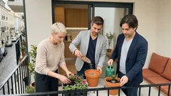 Quando plantar flores em Portugal: calendário simples mês a mês (e o pormenor que evita falhas)