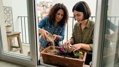 É tão simples e dá tanta cor: como cuidar da flor onze-horas para florir mais (sem a estragar com excesso de água)