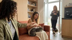 Ter gatos pode reduzir o risco de enfarte? O que diz um estudo de longo prazo