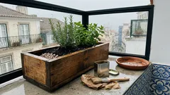 Floreiras de madeira: como escolher a ideal para a janela, varanda ou jardim