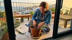 Como cuidar da azulzinha para florir o verão todo (em vaso ou no jardim)