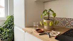 A tua planta está a definhar? Em 1 minuto, lê as folhas e descobre o que ela está a pedir