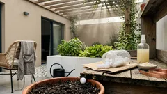 Naftalina no jardim: o “remédio” caseiro que parece resultar, mas pode trazer problemas