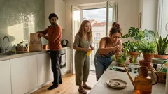 Para que serve espetar fósforos no vaso — e o que resulta melhor contra as pragas