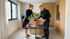 Filodendro em casa: guia simples de cuidados para crescer bonito