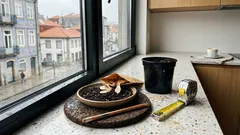 Como plantar um ipê no jardim: local certo, solo e rega para uma floração de sonho