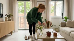 Begónia maculata: cuidados essenciais para folhas com pintas sempre bonitas