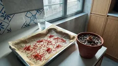 Açafrão verdadeiro em casa: do cormo à secagem, os detalhes que mudam o aroma