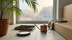 Palmeiras de interior: guia prático para crescerem saudáveis em casa