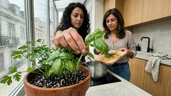 8 ervas aromáticas fáceis de cultivar em vaso: luz, rega e colheita para ter temperos sempre à mão