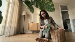 Como cuidar do pacová: guia simples para folhas grandes e brilhantes o ano inteiro