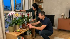 Plantas de companhia para orquídeas: o segredo para um microclima mais estável em casa