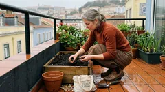 Flor-tigre (Tigridia): como plantar e ter flores de verão que duram um dia