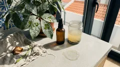 Manchas, pó branco e folhas pegajosas: como identificar fungos nas plantas e o que ajustar em casa.