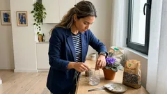 Violeta-africana em vaso, canteiro ou garrafa PET: o detalhe que faz pegar e multiplicar