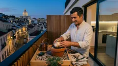 Albuca spiralis: guia de cuidados para manter as folhas bem encaracoladas