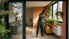 Plantas de interior para refrescar a casa no verão: 7 opções que resultam mesmo