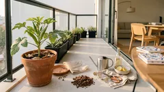 A varanda pode dar quiabo tenro: o vaso certo, sol direto e o detalhe que ajuda com a “baba”