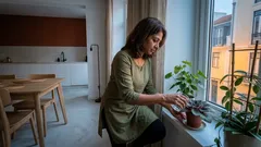 5 flores de sombra que dão flor sem sol direto (e os cuidados que resultam)