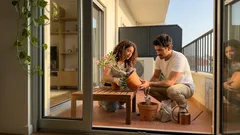 Rosa-do-deserto: guia completo de cuidados para florir em Portugal