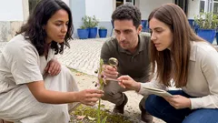 Orquídeas que parecem animais (e até pessoas): 8 espécies raras e o que está por trás da forma