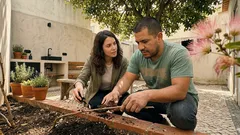 Caliandra “esponjinha”: como plantar e ter mais flores com sol, rega e adubo certos