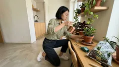 5 plantas de interior pequenas e resistentes para apartamentos pequenos