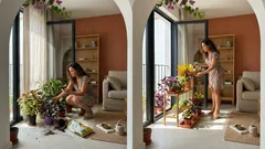 10 plantas com folhas coloridas para dar vida à casa (roxas, vermelhas e variegatas)