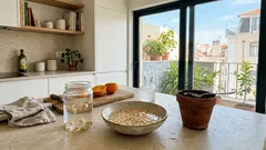 Sementes de laranja: como reaproveitar no vaso e melhorar o substrato com o tempo