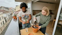 Alecrim em vaso: onde o pôr e o que fazer para o manter bonito todo o ano