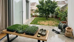 Como escolher a relva ideal para o seu jardim: sol, sombra e pisoteio