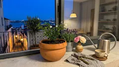 7 plantas cheirosas para perfumar a casa de forma natural