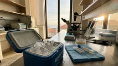 Cientistas reativam vírus gigante com mais de 48.500 anos preservado no gelo