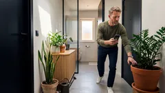 15 plantas para cantos escuros da casa: o que resulta mesmo com pouca luz