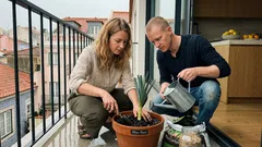 Alho‑poró em vaso na varanda: o pequeno truque para talos mais brancos (e colheitas durante meses)