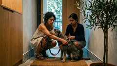 Porque é que o teu cão te acorda de madrugada — e o que fazer antes de te preocupares