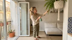 Samambaias em casa: como ter frondes cheias e verdes com luz indireta e humidade certa