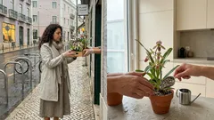 Flores exóticas que parecem desenhadas: 15 espécies surpreendentes e um guia simples para as ter em casa