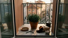 Porque é que os cravos deixam de florir, mesmo quando parecem saudáveis: ajustes simples que fazem voltar os botões