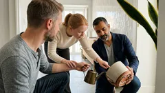 Espada-de-são-jorge: guia de cuidados simples para uma planta sempre elegante