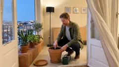 Como saber se a planta precisa de água sem falhar: sinais e teste do dedo