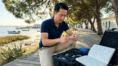 O tubarão-touro afinal não é solitário: um estudo de longo prazo revela ligações que duram anos