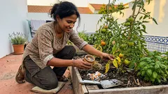 Como manter um jardim orgânico equilibrado: pH do solo, adubação e pragas antes de se instalarem