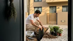Como escolher plantas para o jardim da frente sem dores de cabeça